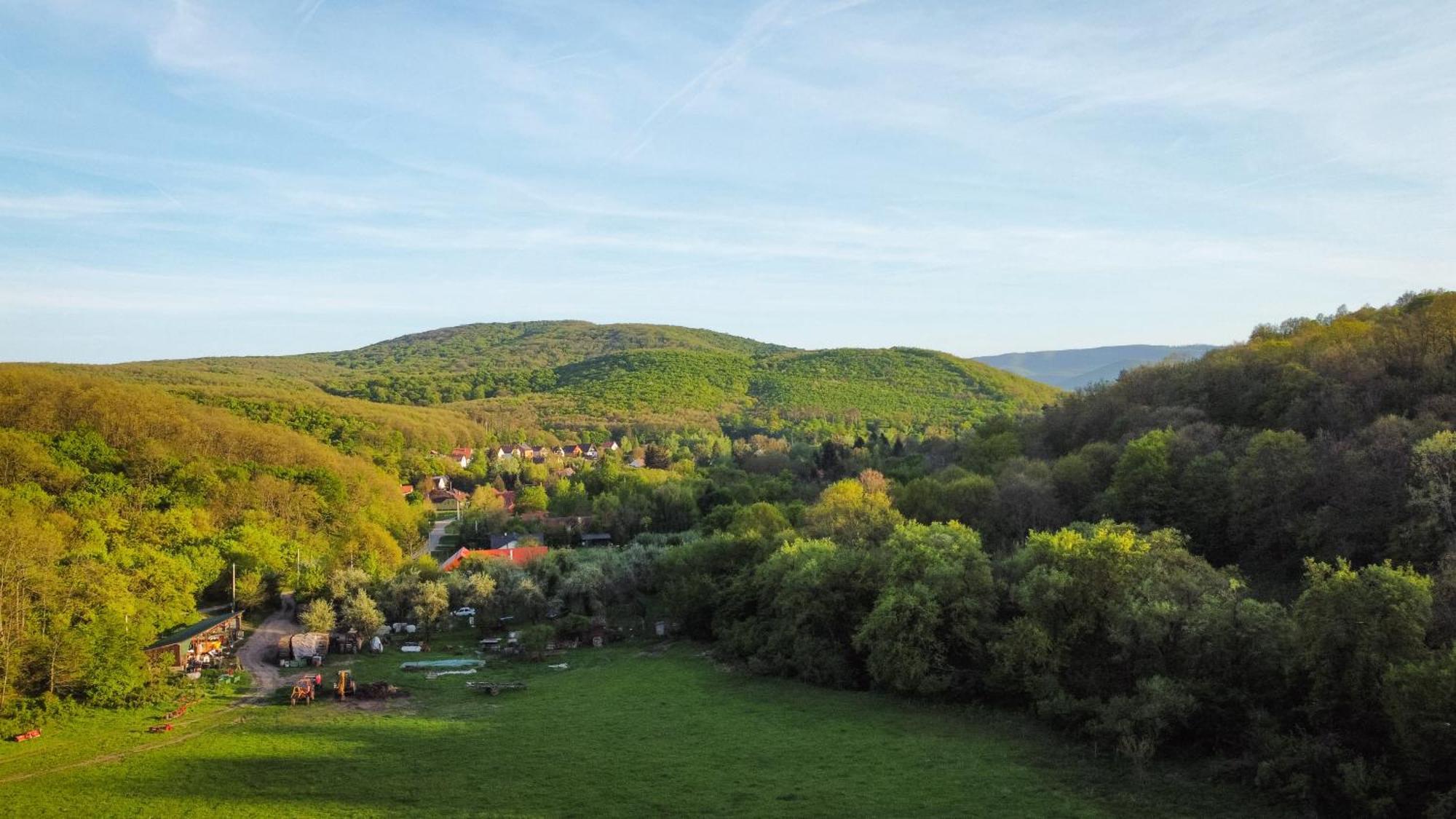 Almasglamp * Zebegeny